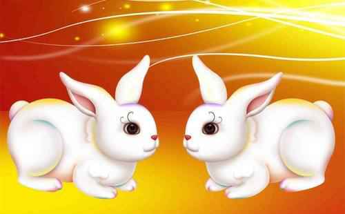 属兔是哪一年出生的_兔属相出生年份_出生的是属兔的什么命