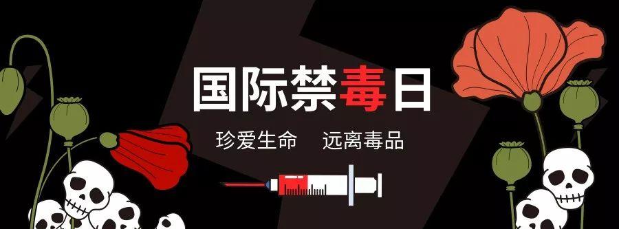 卡特尔贩运毒：少年四大名捕预告片第16集