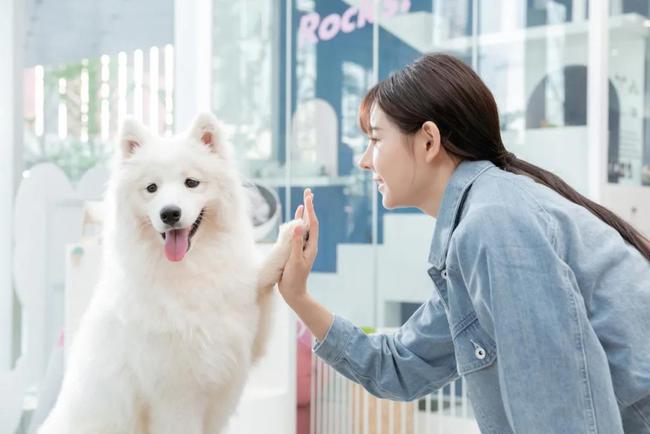 北京宠物贴吧_北京宠物网_北京宠物网站大全