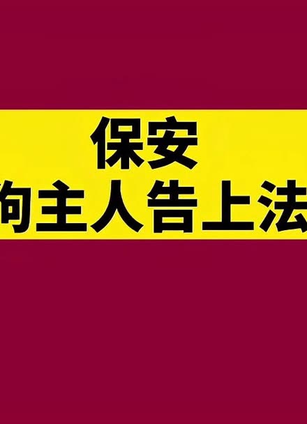 逆转裁判3狗公：抗战传奇