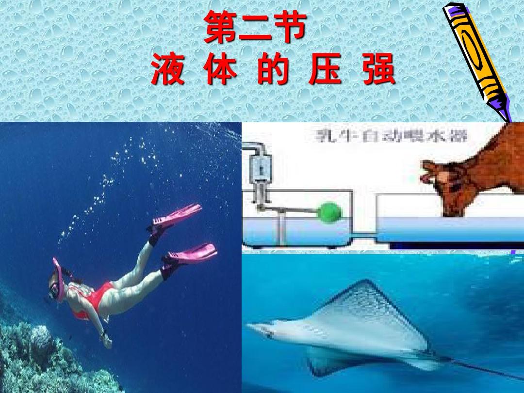 美国劲能精华素怎么样_美国key劲能液骗局_美国劲能液使用方法图
