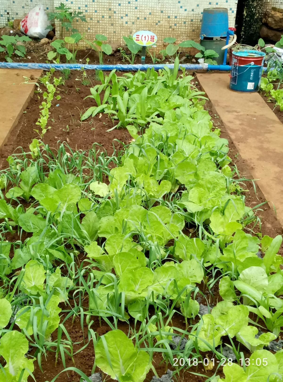 农场偷菜软件_偷菜助手_自动偷菜软件