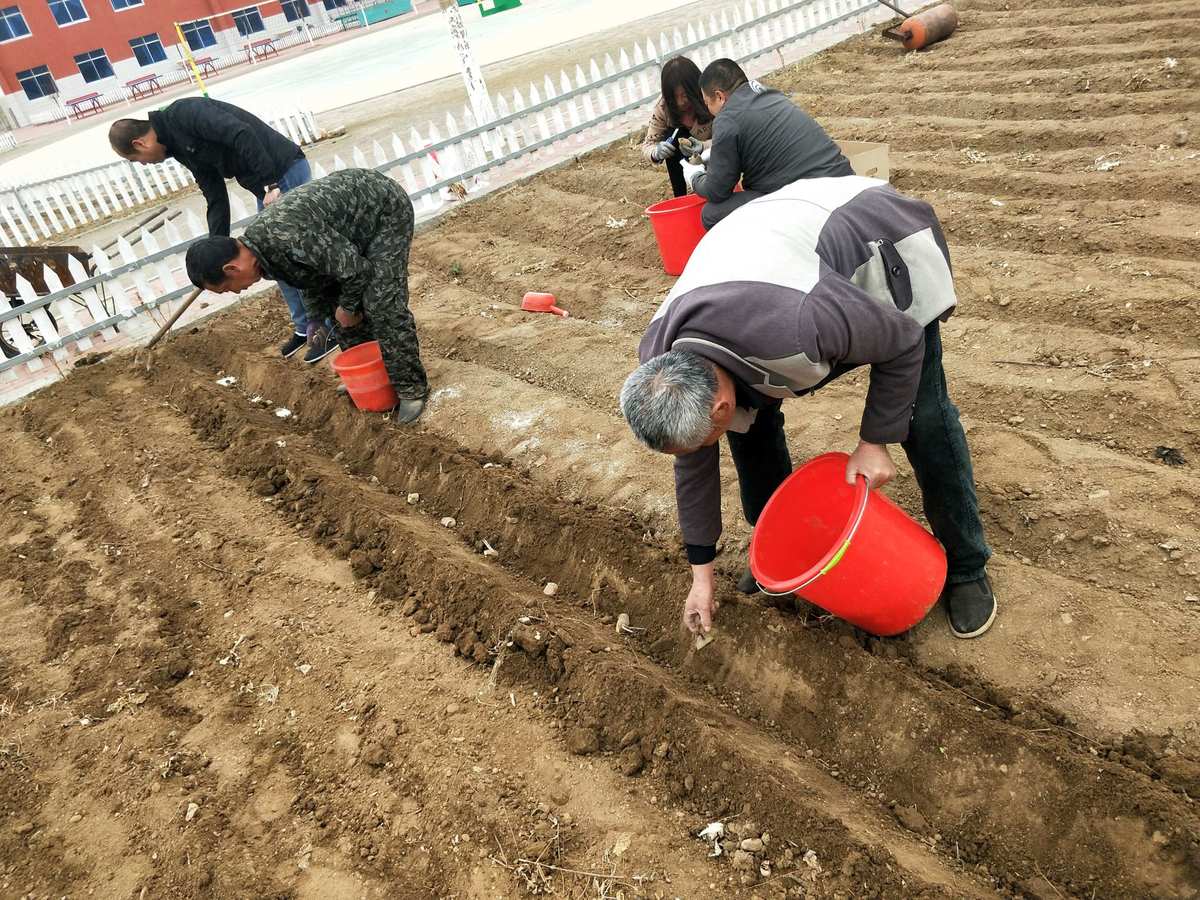 自动偷菜软件_偷菜助手_农场偷菜软件