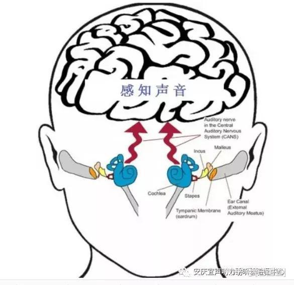 游戏声音，无画面：体验不凡！