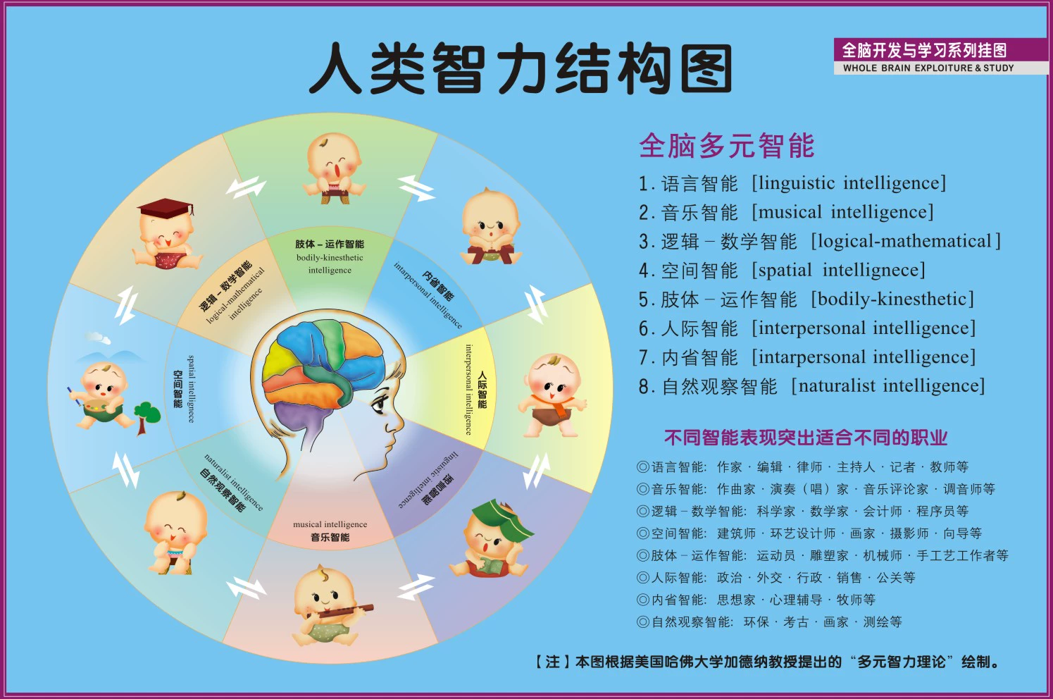 最强大脑水哥个人资料_最强大脑刘健资料_最强大脑贾立平资料