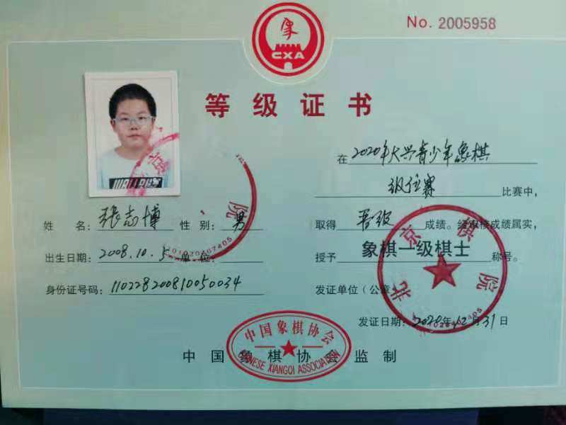 新中国象棋等级：休闲娱乐乐趣无穷