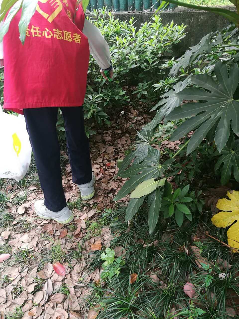 娃大了我老了的说说_大娃_娃大了发朋友圈的说说