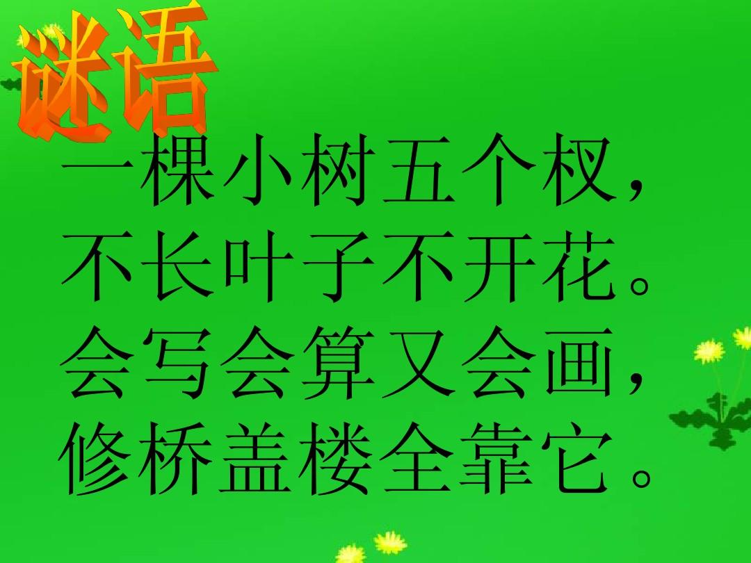 小小探索家书籍_小小探索家动画片_动画剧场小小探索家