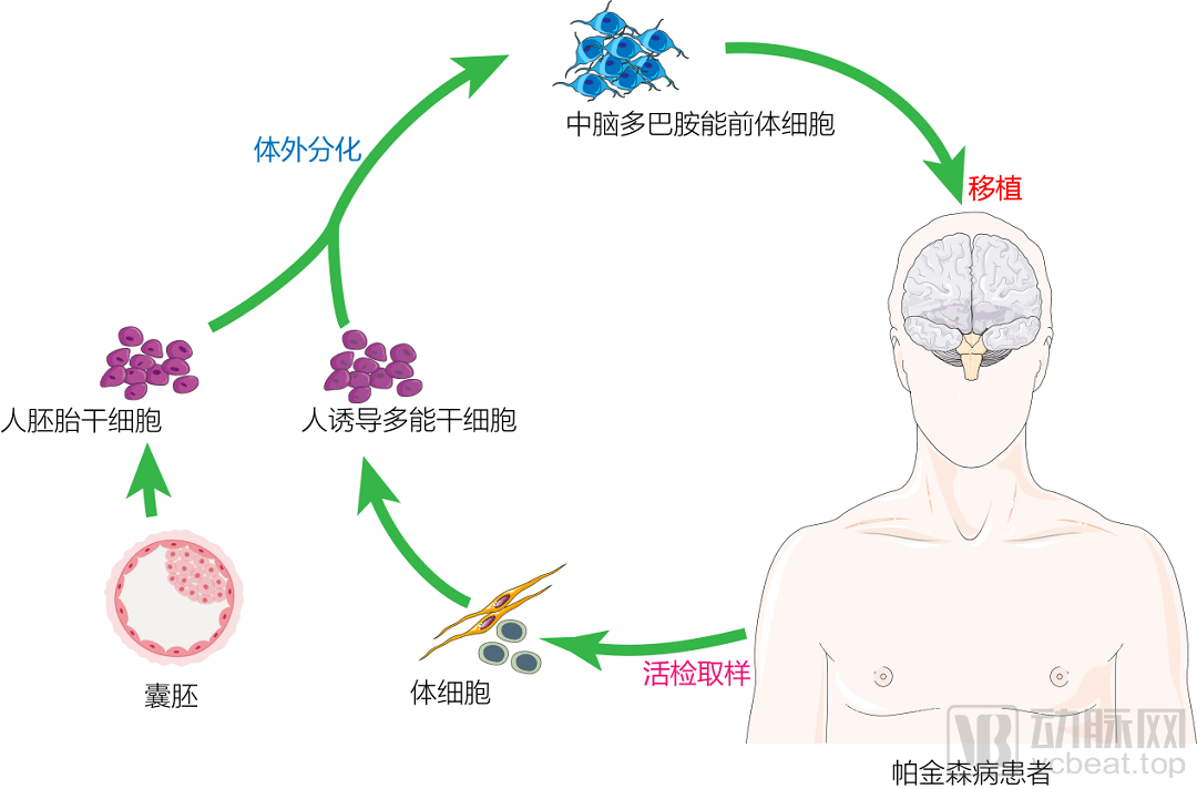 明日方舟资深干员tag搭配_明日方舟资深干员词条一览_明日方舟中资深干员