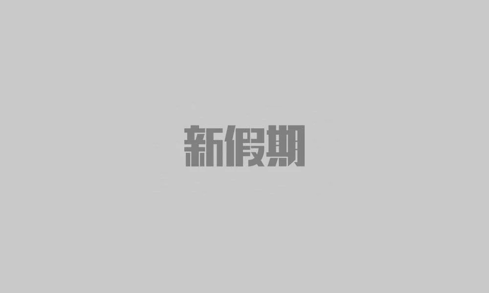 明日方舟资深干员搭配支援_明日方舟资深干员词条一览_明日方舟资深干员tag搭配