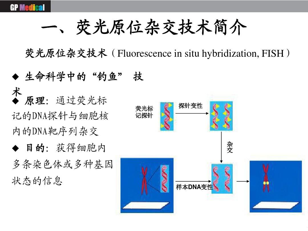 玩转希望OL：连续技信用全攻略！