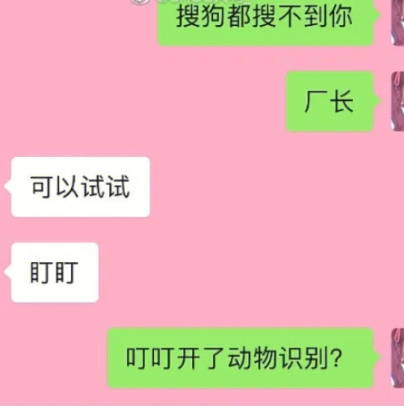 搞笑的名字游戏名字_搞笑的三个字游戏名_搞笑名字游戏大全霸气
