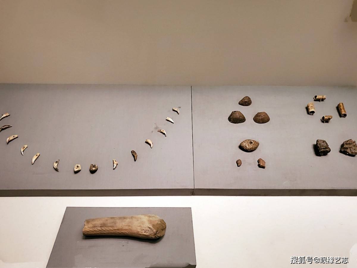 找茬图片高难度_大家来找茬图片_找茬图片素材