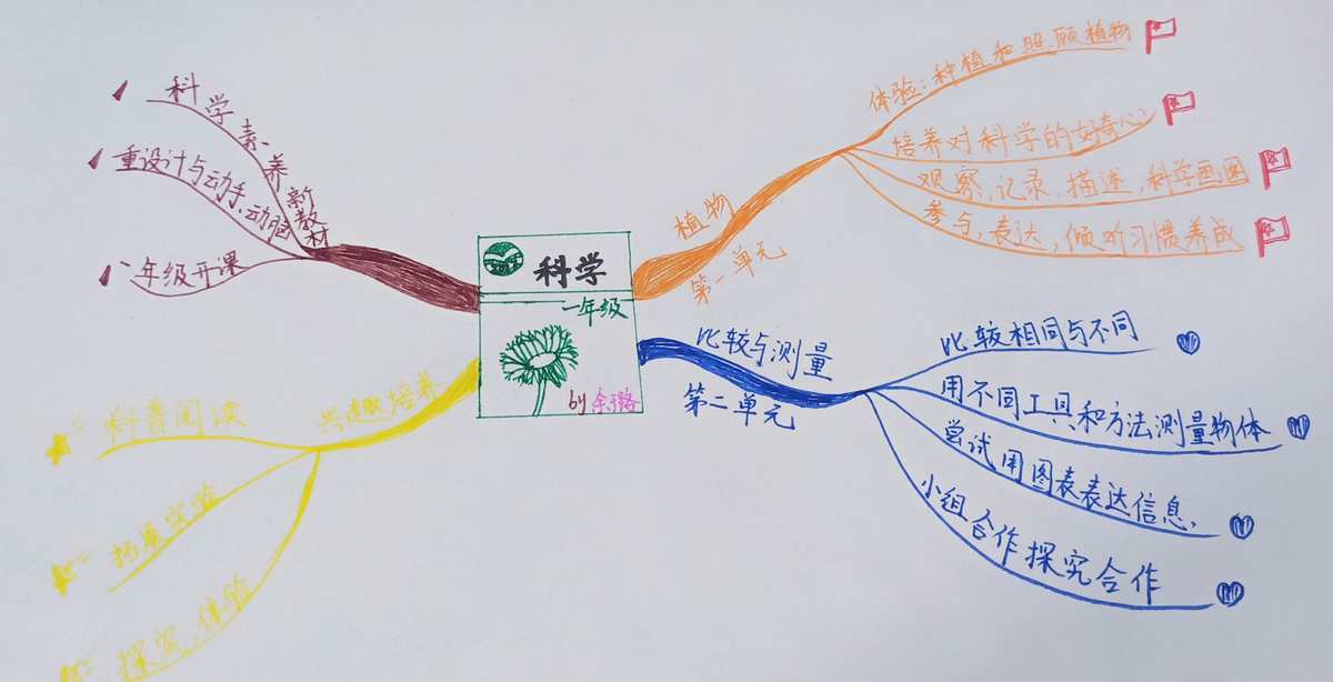 最强大脑水哥：谁是他？