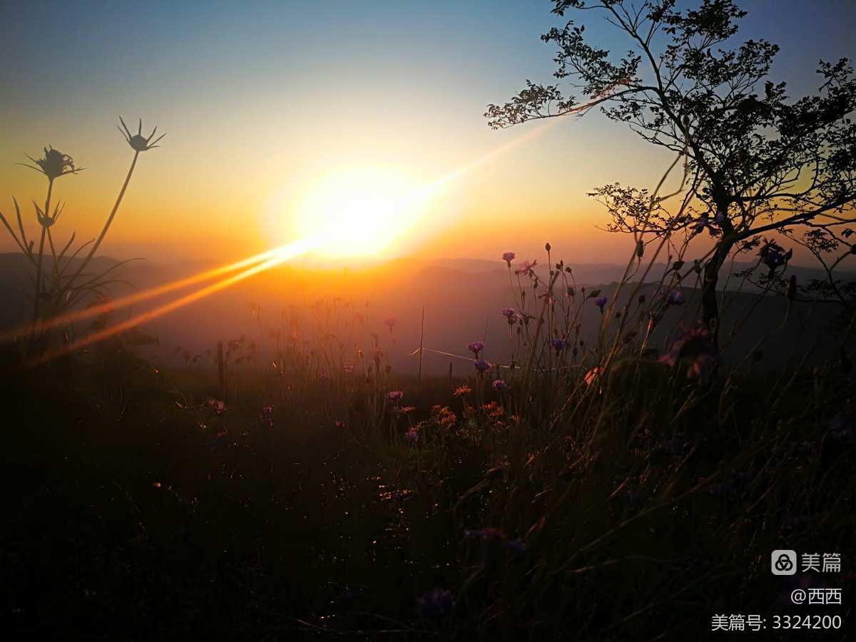 登塔，眼前广阔美景