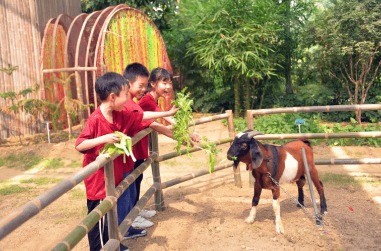 星露谷物语：农场神秘纸条，热议解密