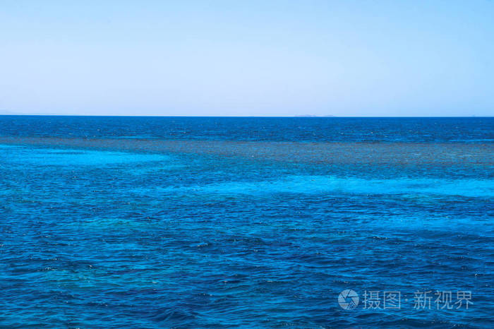深海色带鱼_深海色是深海猎人吗_深海色