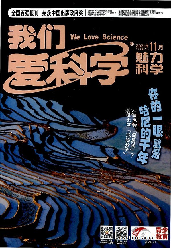 最后的起源下载_王国保卫战起源下载_我的起源下载