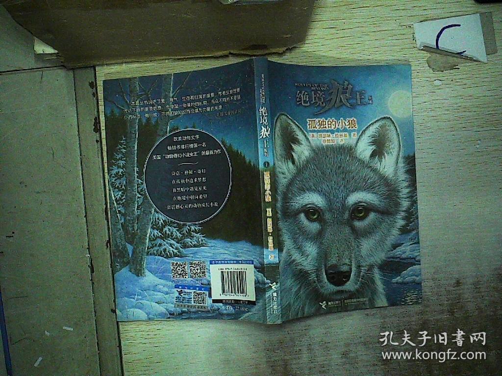 狼之少年_狼少年百度影音_狼少年剧情介绍结局