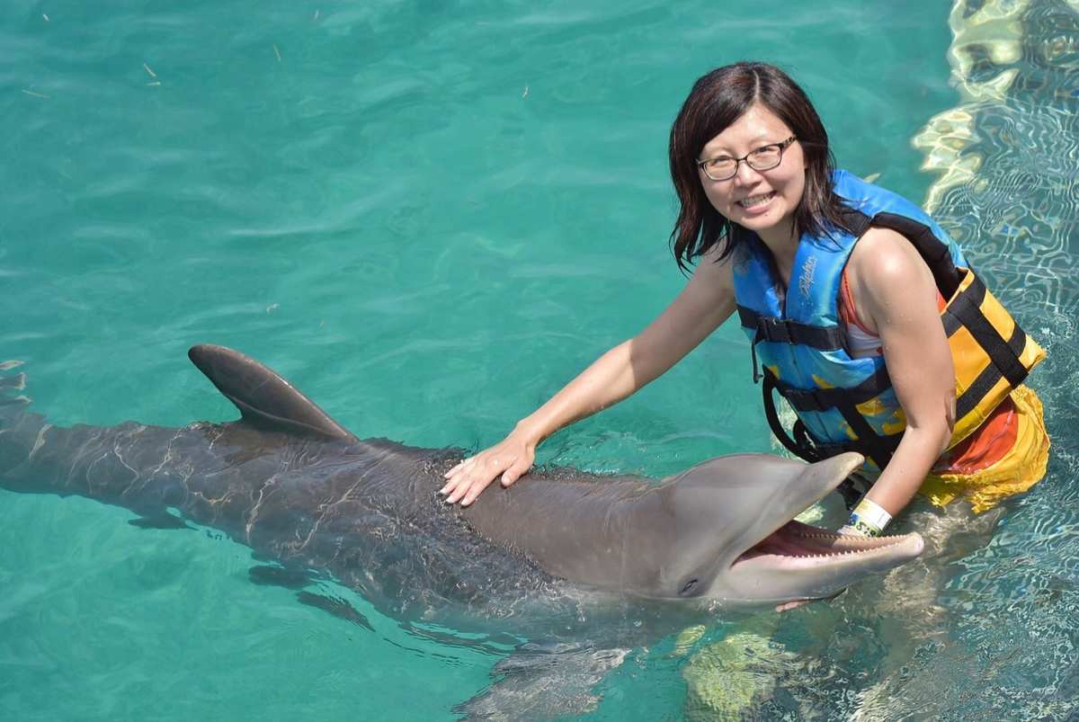 骑海豚_海豚骑手端_海豚乐乐海豚族长