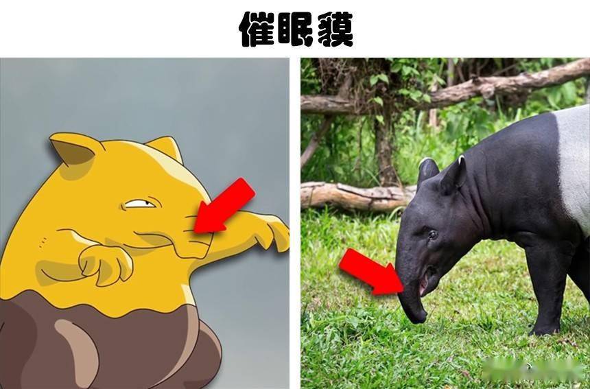 催眠貘：开启你的潜能
