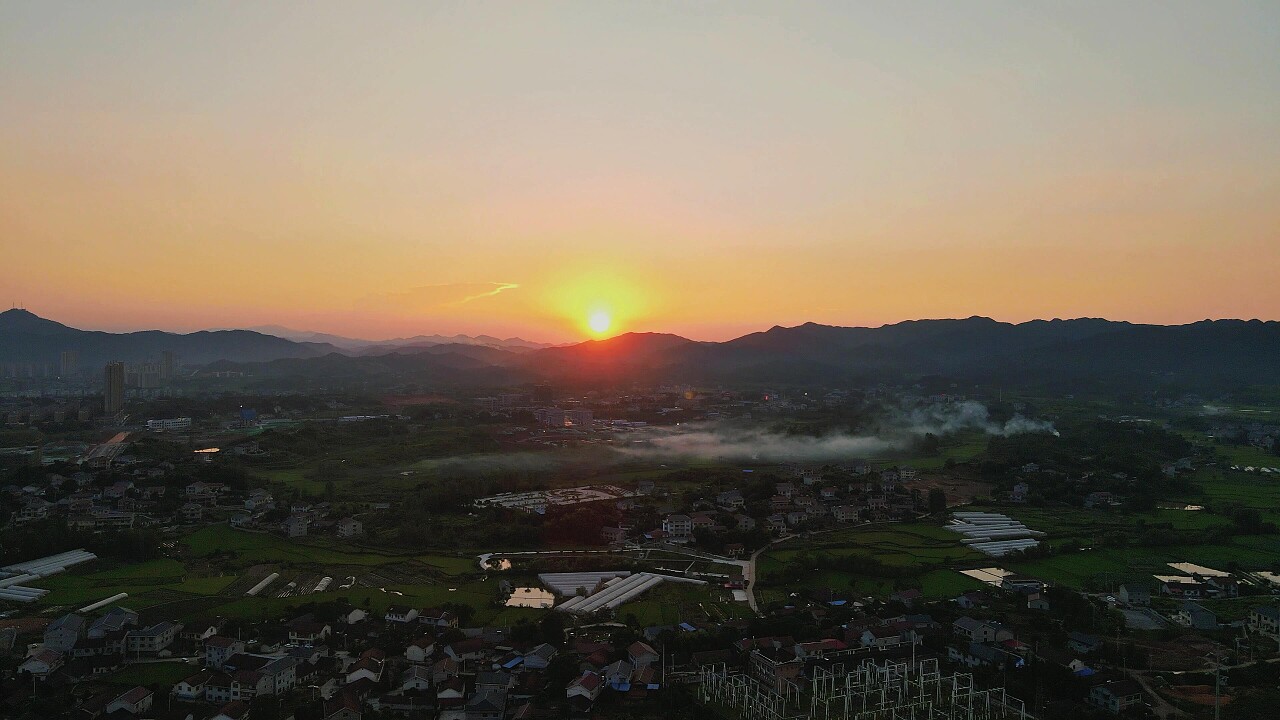小蓝豆