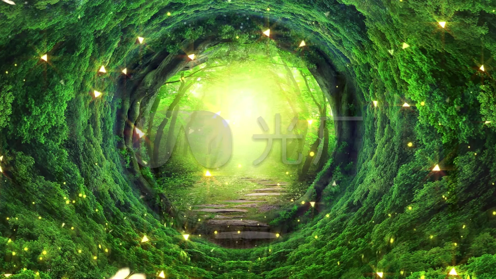 魔幻之旅：托卡世界的奇妙探险