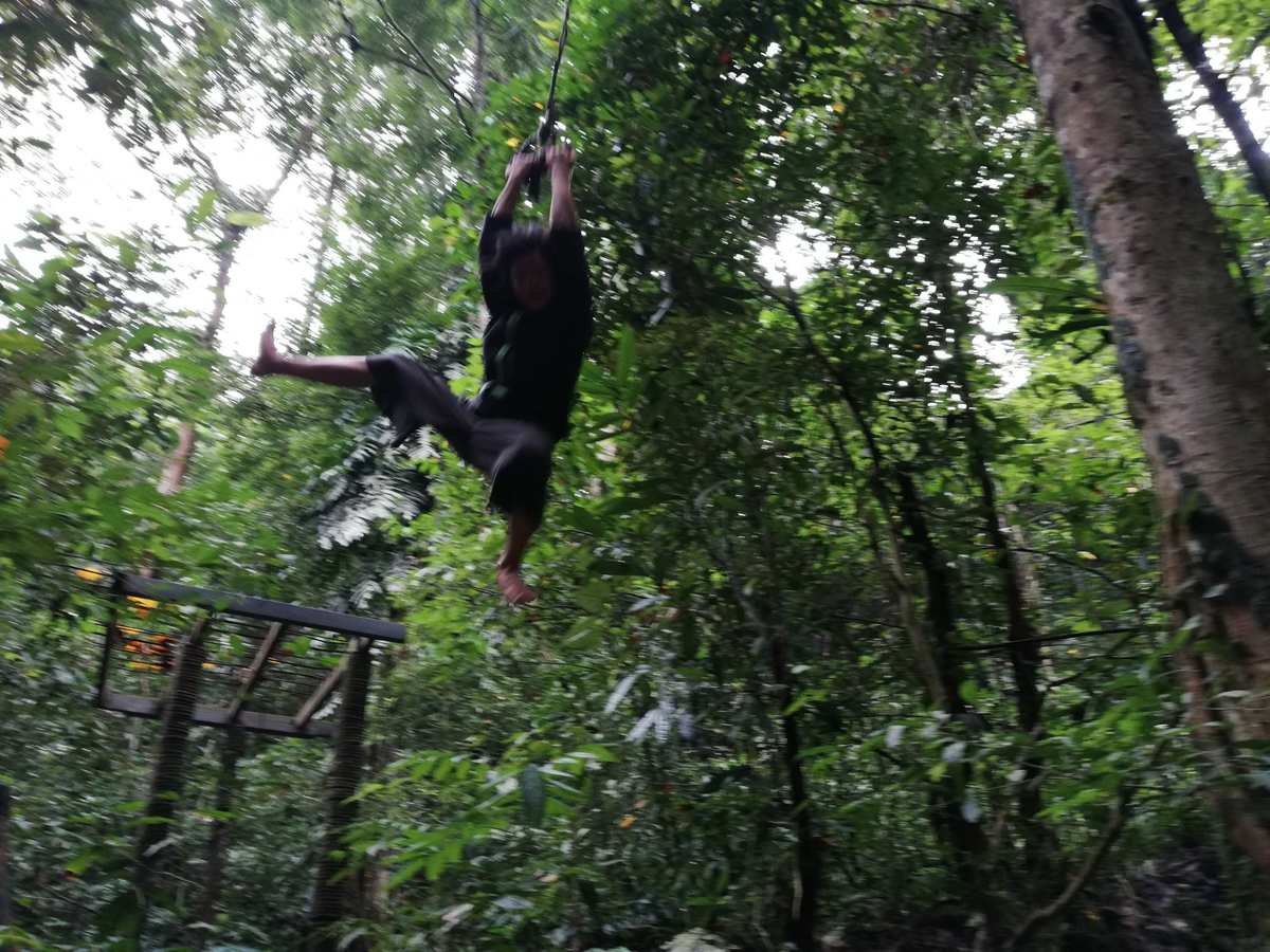 树林捡树枝_猛男捡树枝_捡树枝什么意思