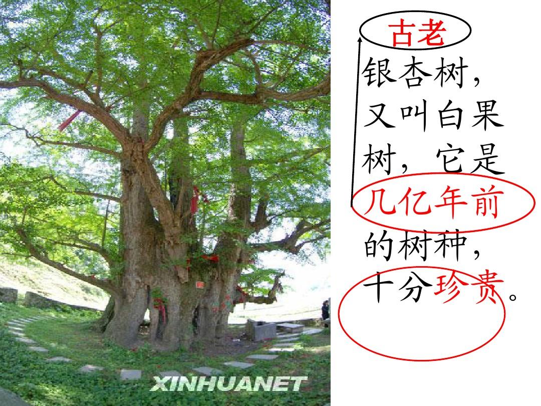 拍照旅游景点_拍照旅游超可爱短句文案_旅游拍照