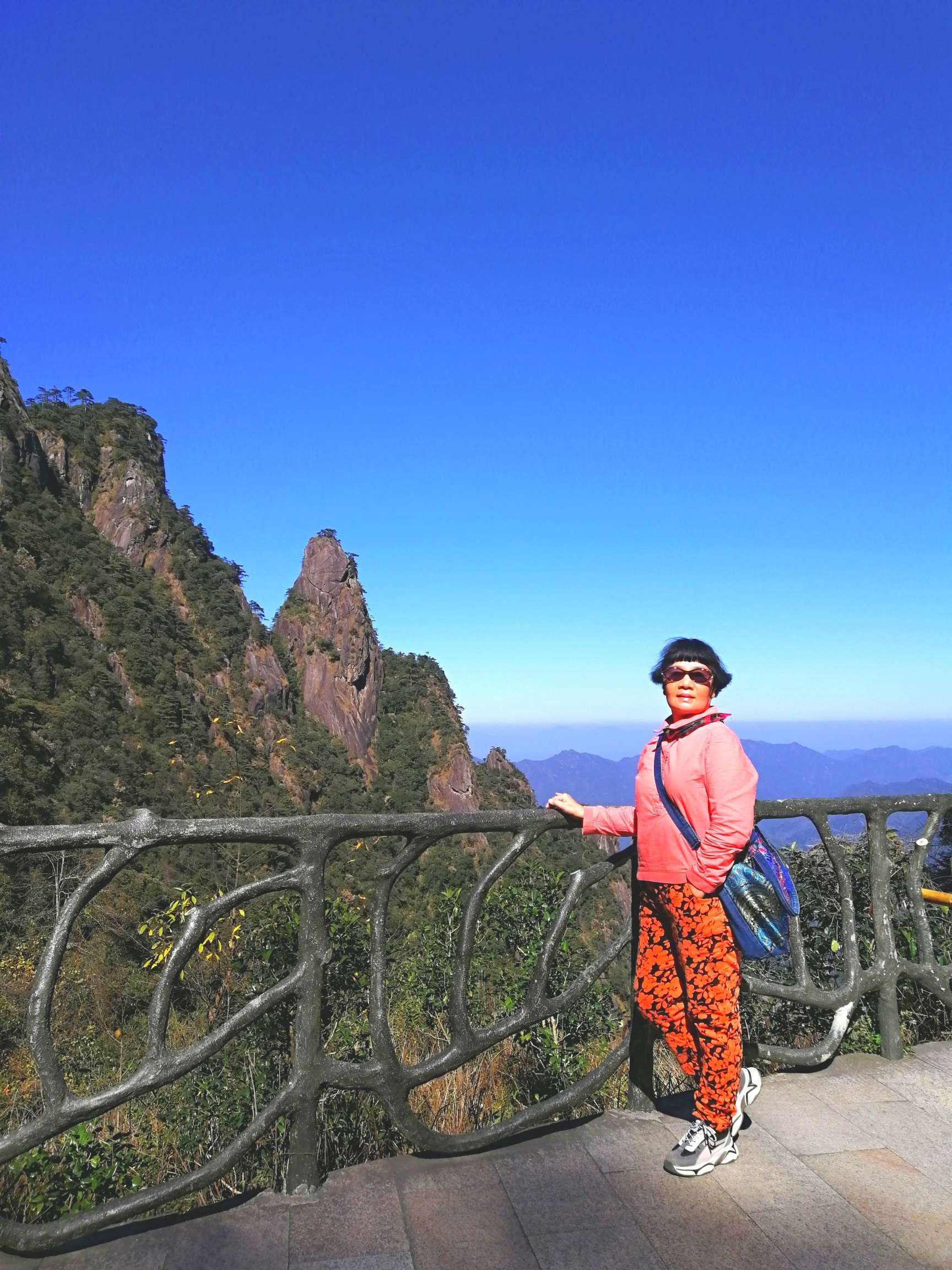 望风山地落落莓_莓茶有茅岩莓还有_落落莓在望风山地哪里
