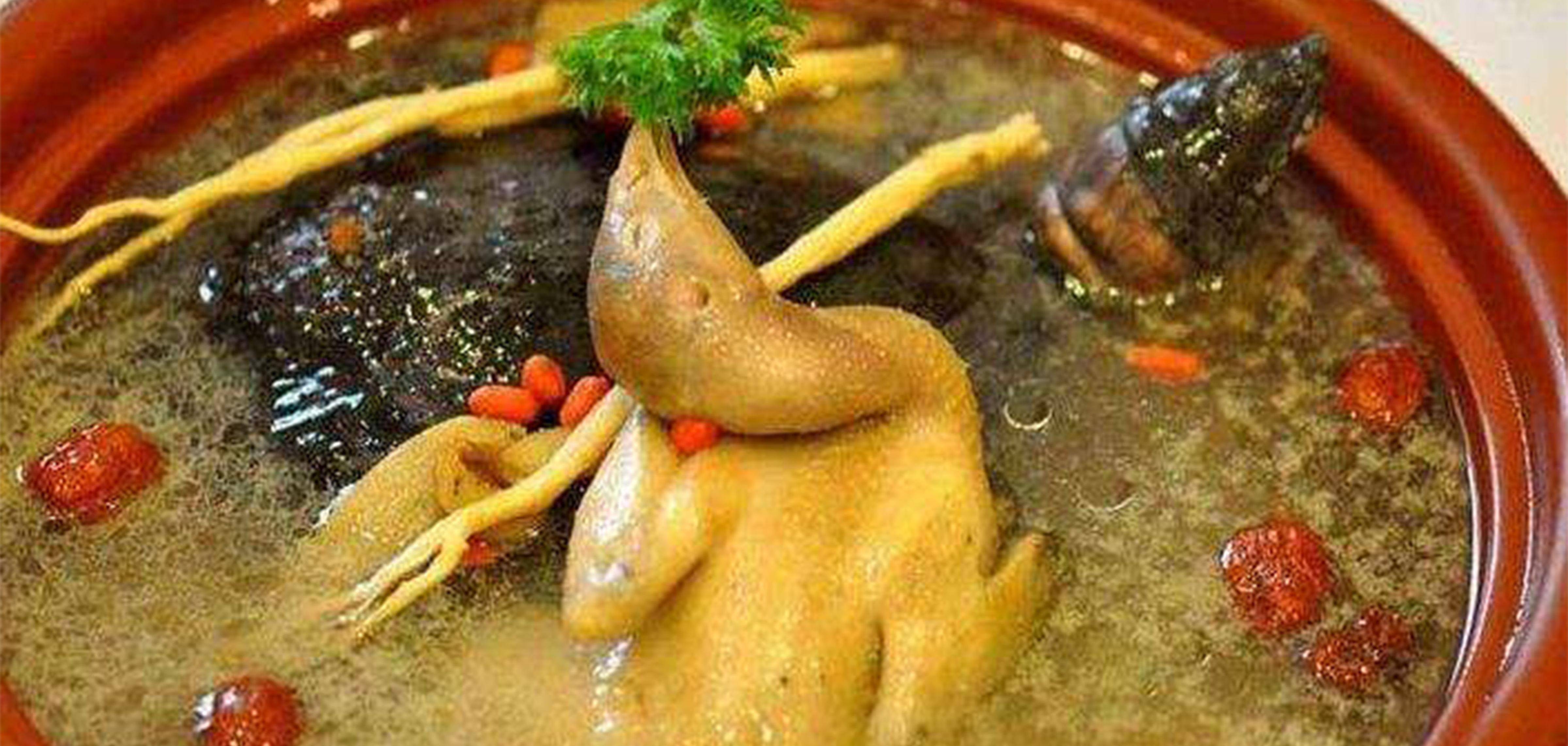飞龙汤图片_飞龙汤食物语_飞龙汤
