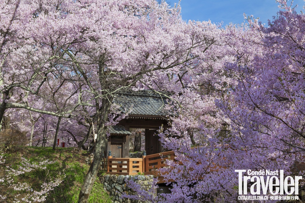 樱花盒子免费下载_樱花盒子免费下载软件_樱花盒子免费下载苹果版