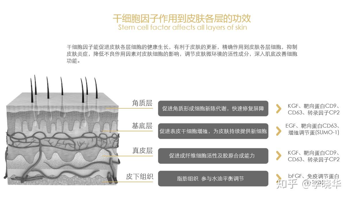 重生细胞破解版_重生细胞_重生细胞破解版免付费
