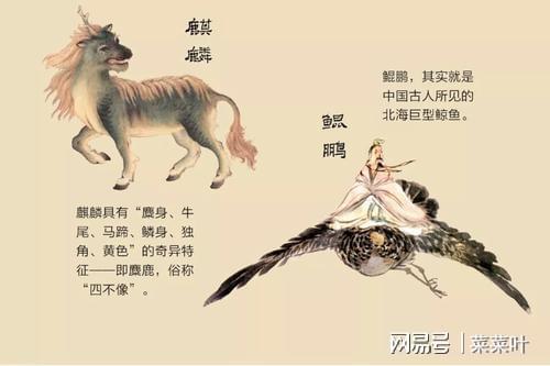 山海经异变_山海经异变下载_山海经异变辅助脚本手机版