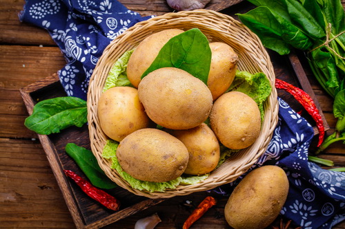 土豆potato安卓版下载_土豆potato_土豆potato软件下载