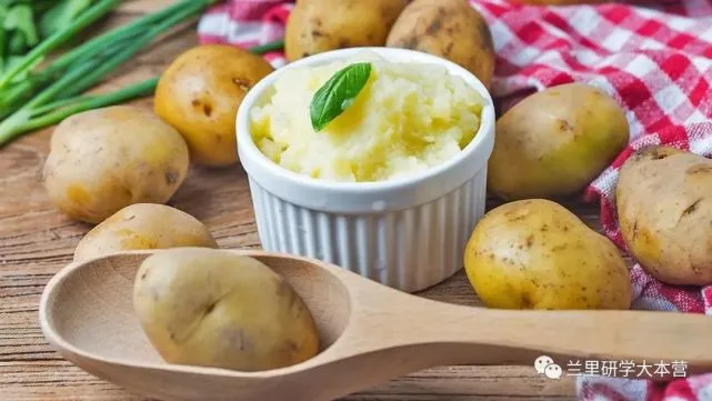 土豆potato软件下载_土豆potato_土豆potato安卓版下载