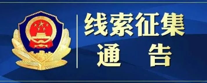 大师探案版_探案大师_探案大师下载