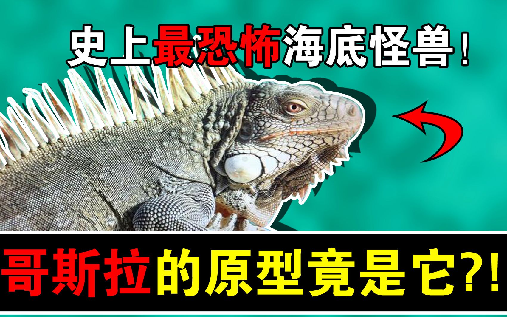 深海蜥鱼_深海龙蜥在哪_海龙蜥蜴