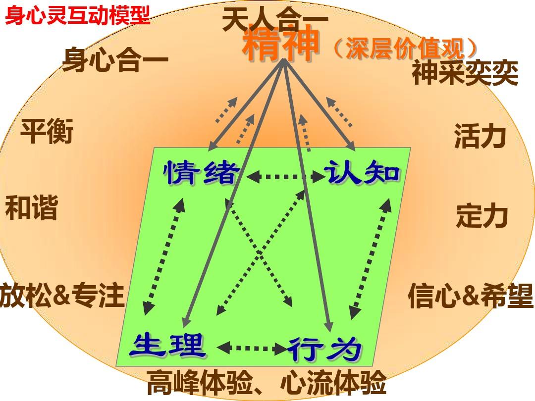 平衡大师视频_平衡大师下载_平衡大师