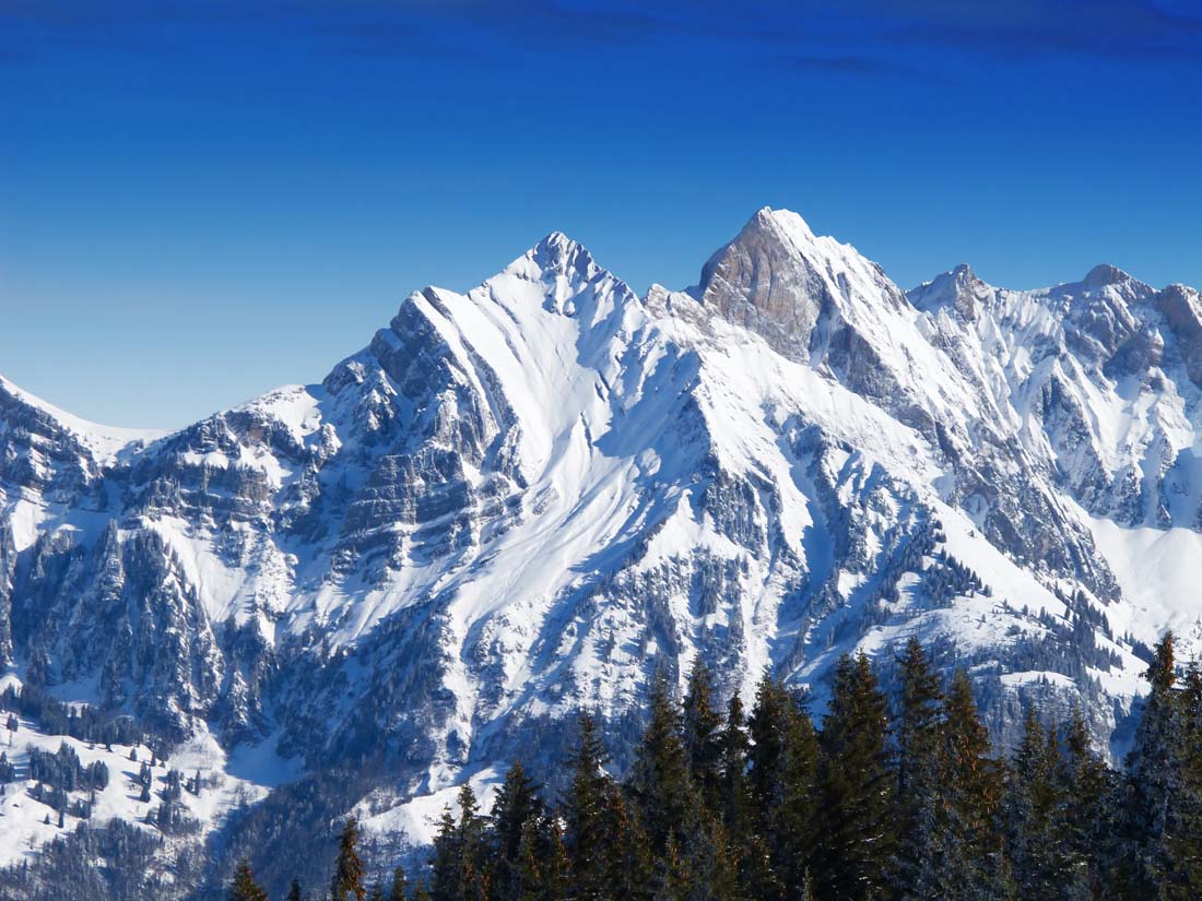 龙脊雪山神树在哪_龙脊雪山神像怎么开启_原神龙脊雪山