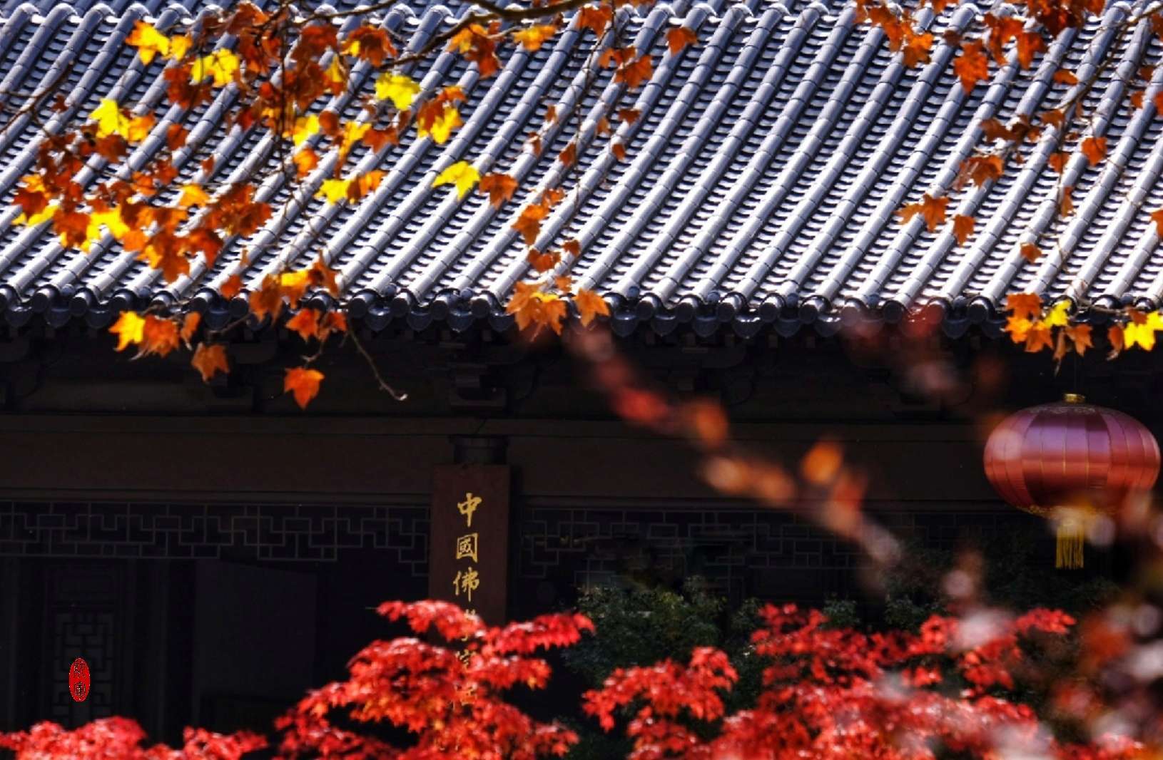 天神悟道圣坛_圣坛_圣坛之火