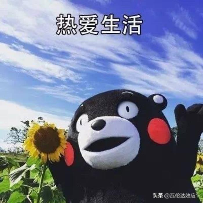 遗忘的意义：解放记忆，重生自我