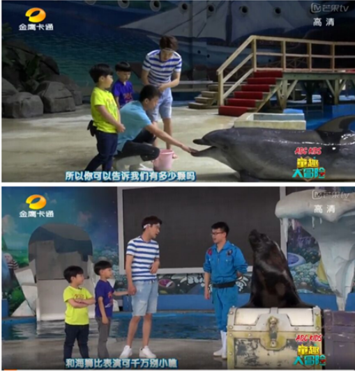 泰拉瑞亚的秘银_泰拉瑞亚秘银g_泰拉瑞亚秘银