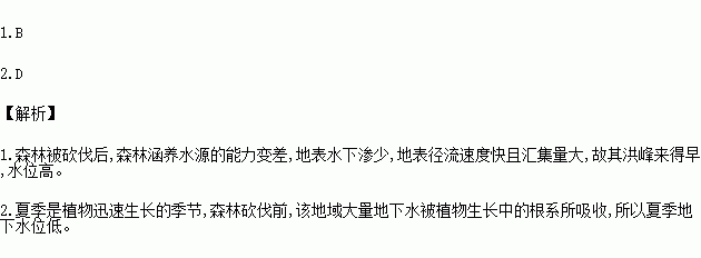 森林没水喝_森林中怎么喝水_森林怎么喝水