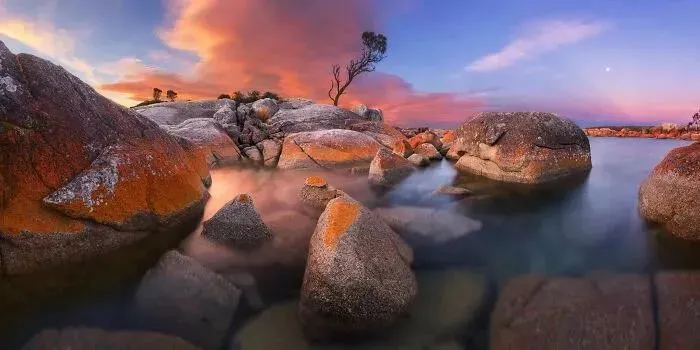 国内写真_写真出炉_写真品牌全国排名