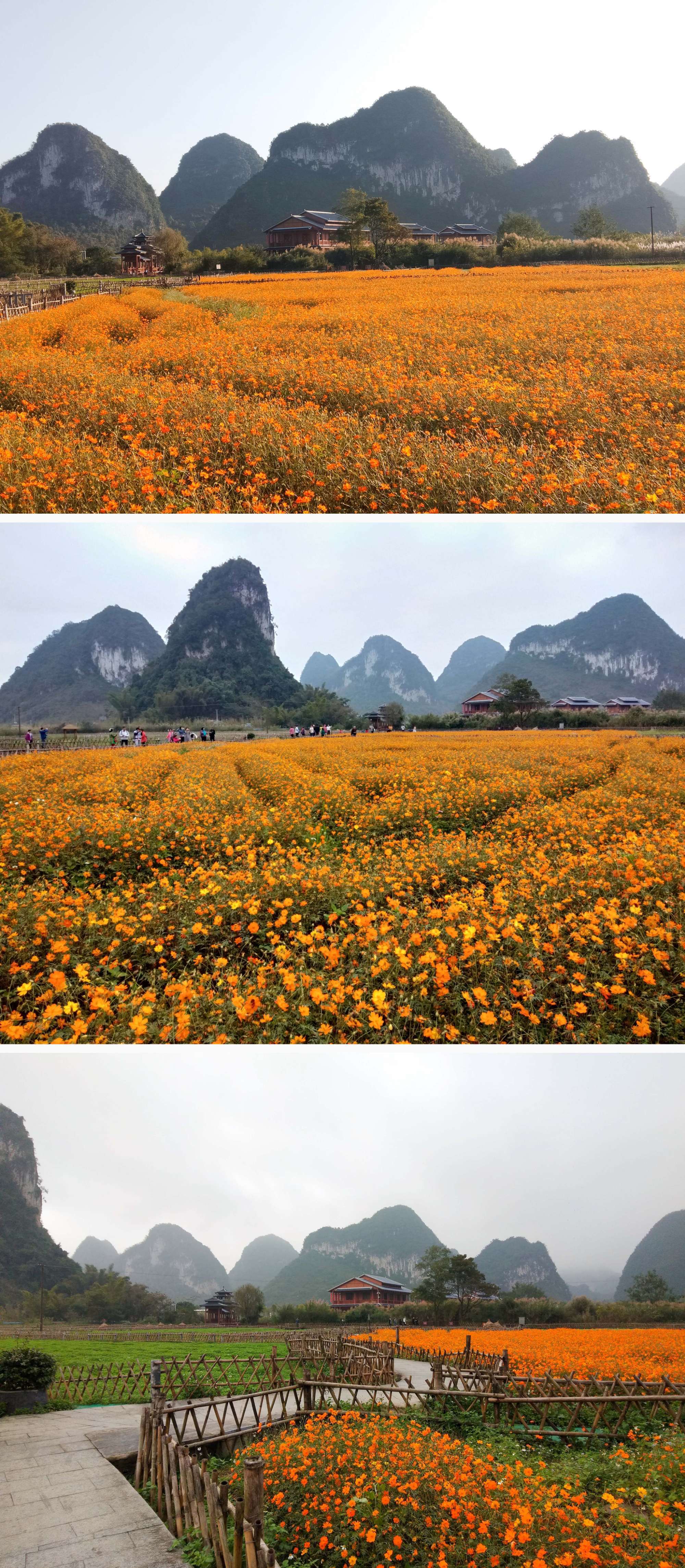 原神风景壁纸_原神风景壁纸_原神风景壁纸