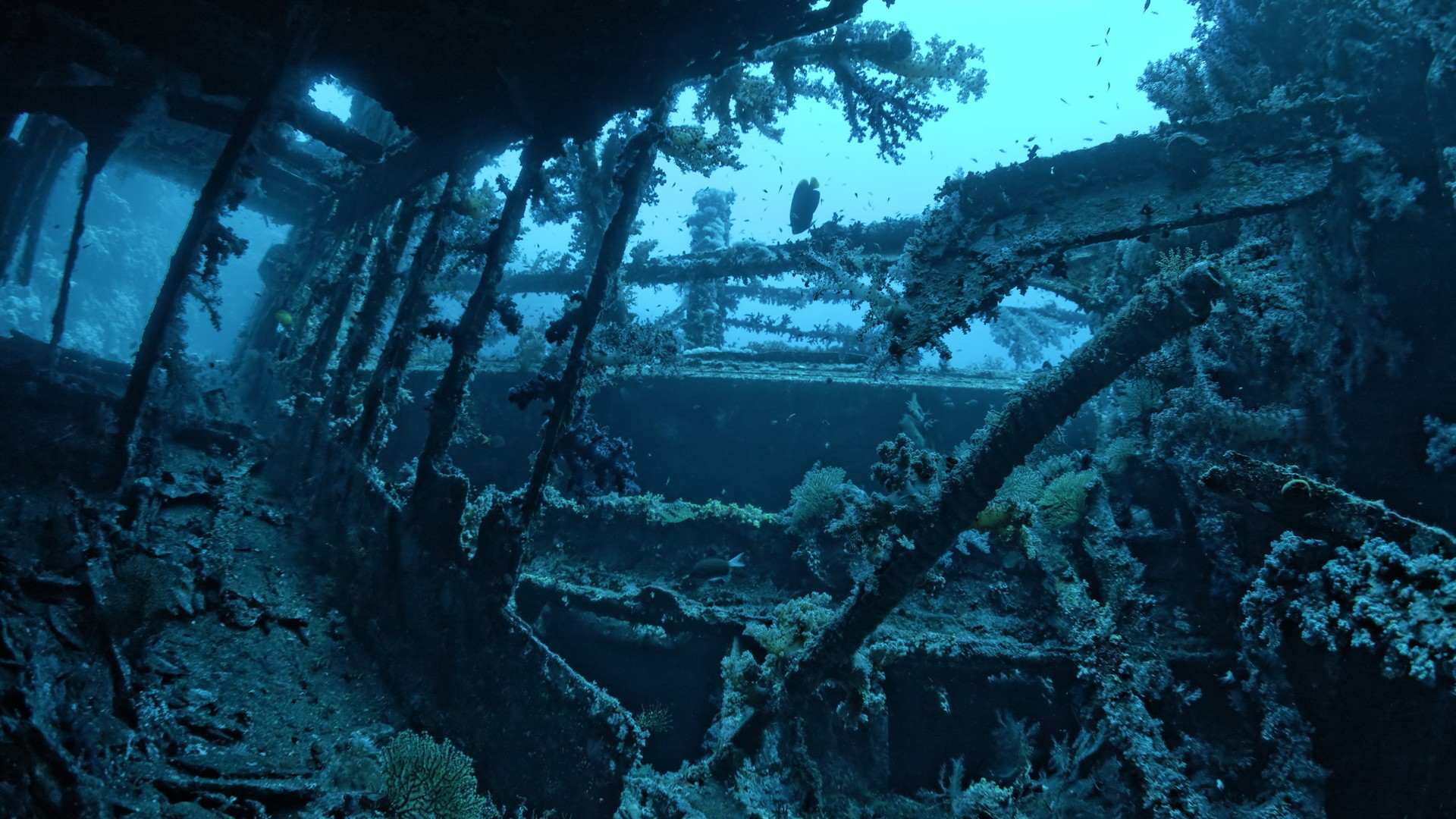 海洋传说mod_海洋传说_海洋传说介绍页