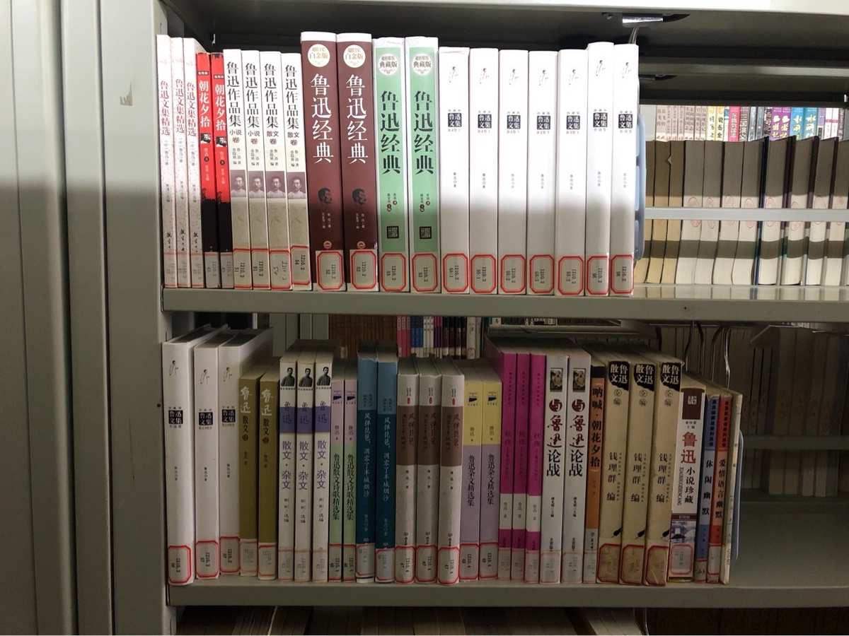 燃小说讲的是什么_燃小说是什么_燃文阅读