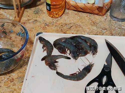铁臂枪虾的进化型是什么_铁臂枪虾简笔画_铁臂枪虾