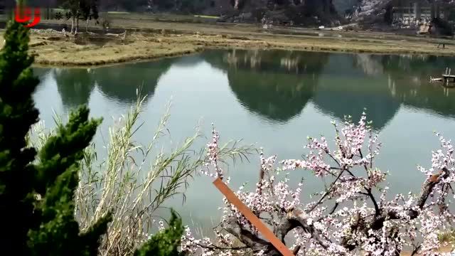 桃花岛视频在线观看视频免费观看_桃花岛视频在线观看视频免费观看_桃花岛视频在线观看视频免费观看